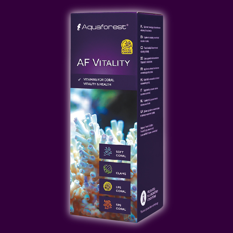 Bromine Coral V