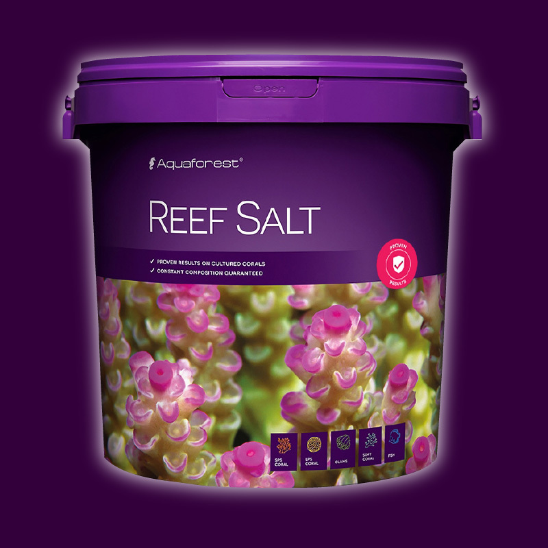 reef salt